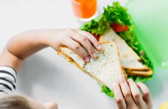 Volta às aulas: dicas para montar a lancheira ideal slide 1