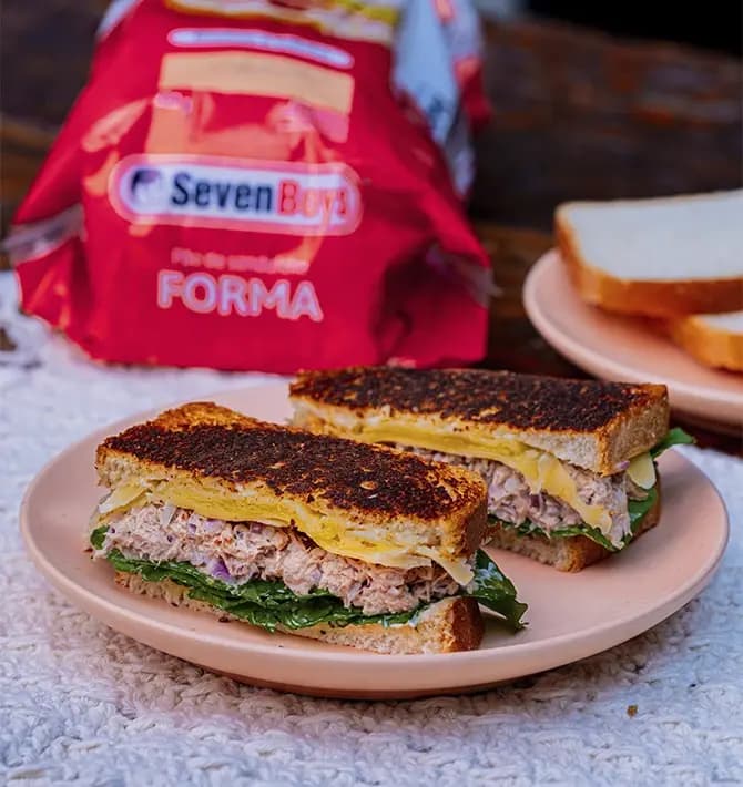 Tuna Melt Especial