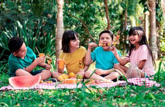 Confira três ideias de lanche para piquenique na escola